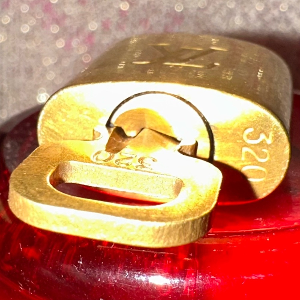 #320 Louis vuitton lock and key - Picture 4 of 9
